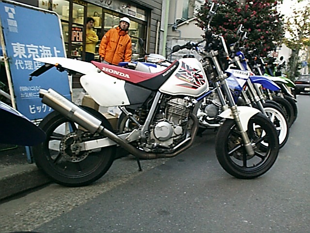 xr 250